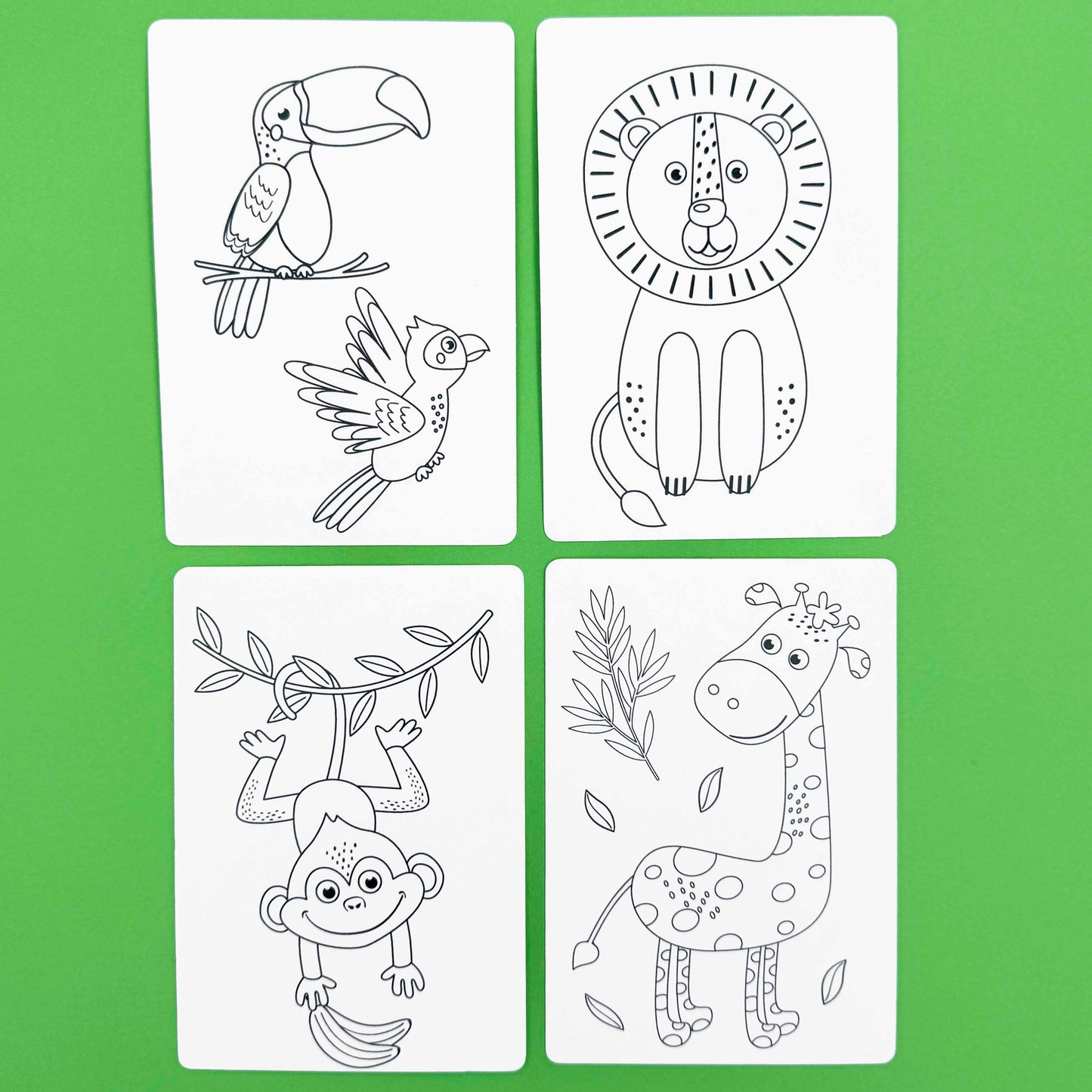 Jungle Colouring & Activity Cards