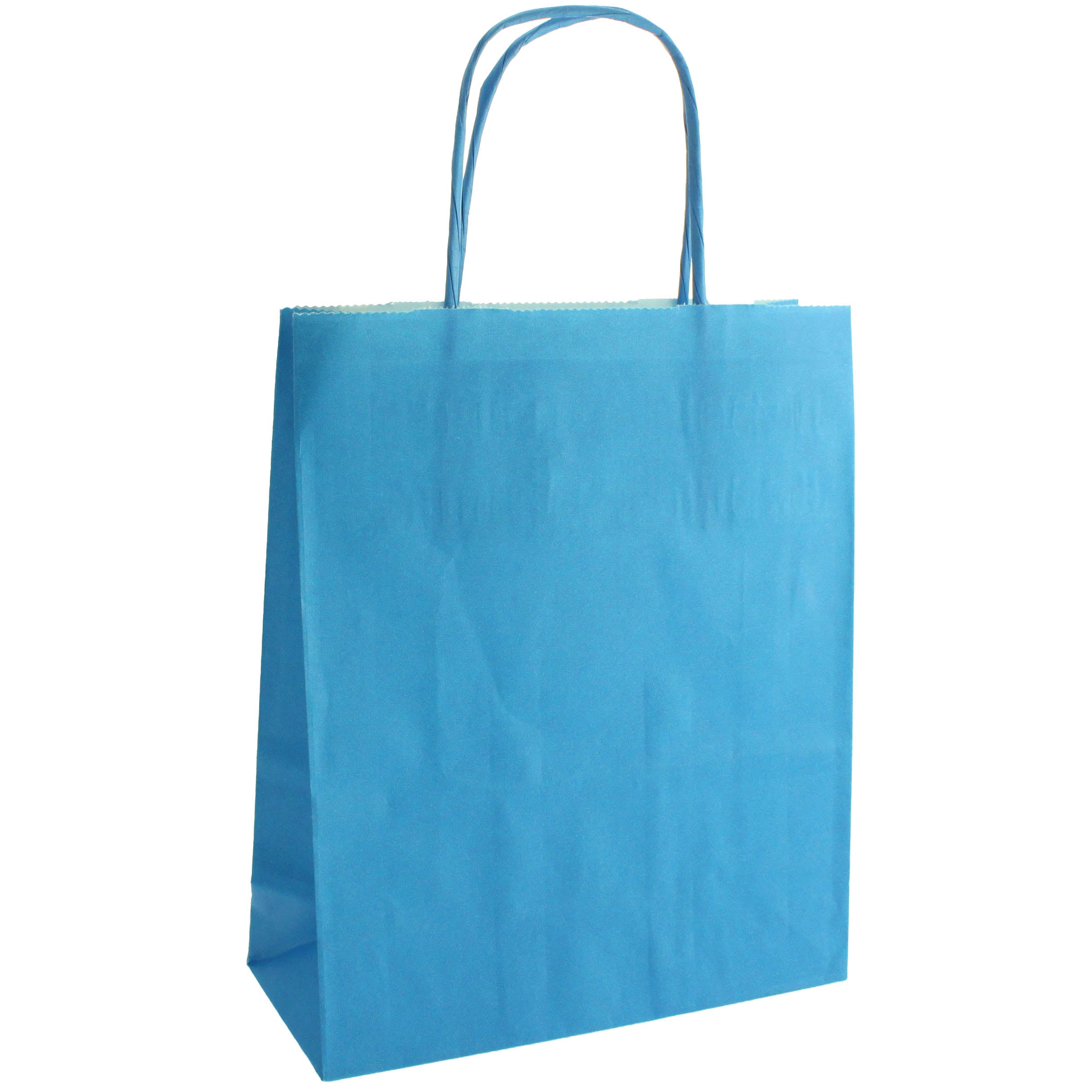 Sky Blue Paper Party Bag with Twisted Paper Handles – The Curious