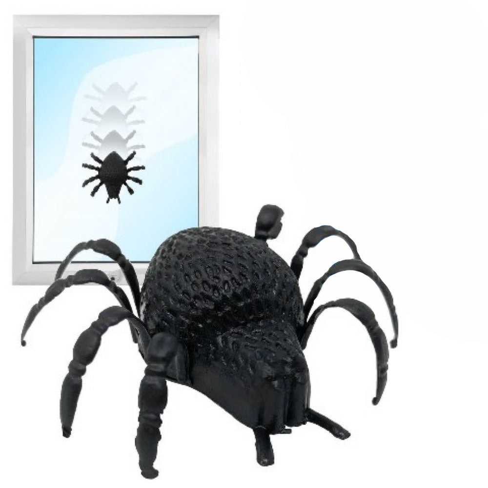 Spider - Window Crawler